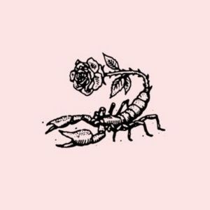 Meet your Posher, Miranda